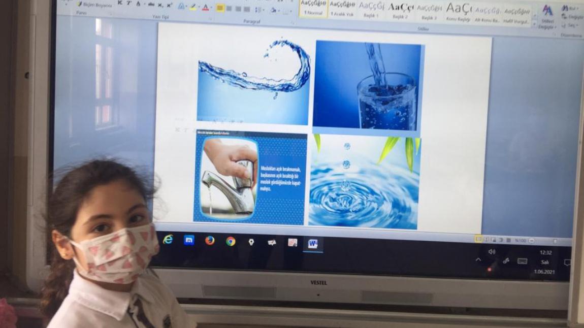 4-A Sınıfı öğrencilerimizden Ceylin Su ALDAĞ'ın Proje Sunum Etkinliği